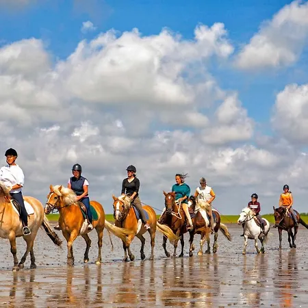 Nyaraló Gud Jard Nr 13 - Design-ferienhaus Mit Exklusiver Ausstattung