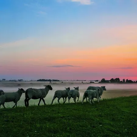 Gud Jard Nr 13 - Design-ferienhaus Mit Exklusiver Ausstattung Dom wakacyjny